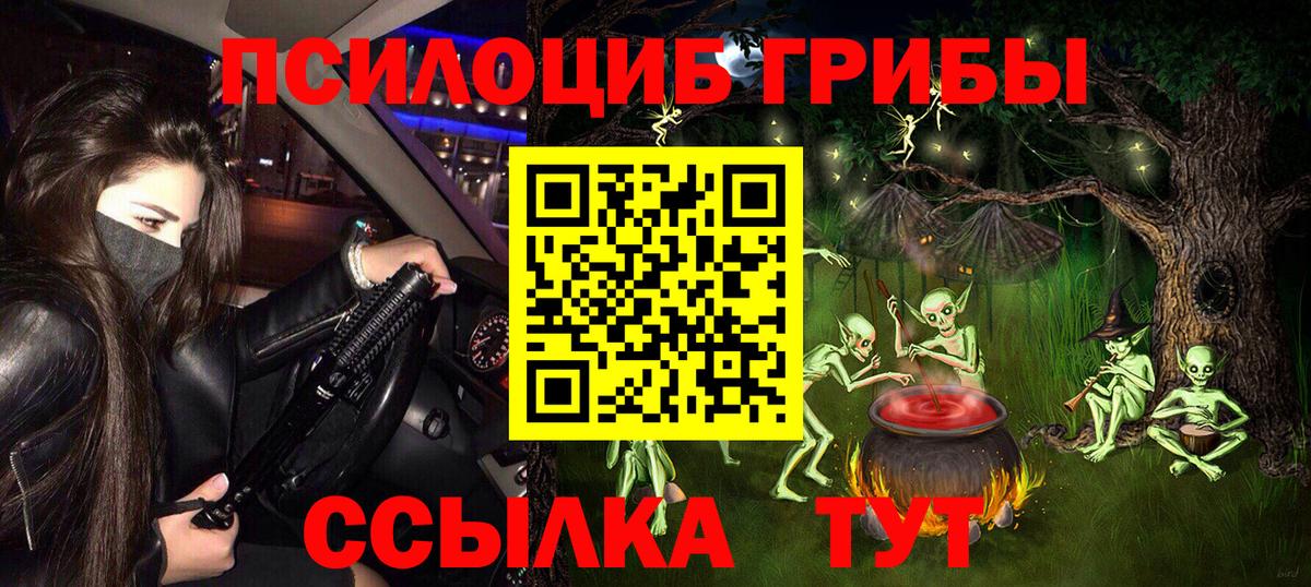 Псилоцибиновые грибы GOLDEN TEACHER Новоалександровск