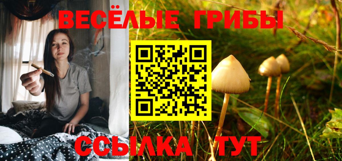Галлюциногенные грибы ЛСД  Галлюциногенные грибы мицелий  Вход с VPN  цены   Новоалександровск 